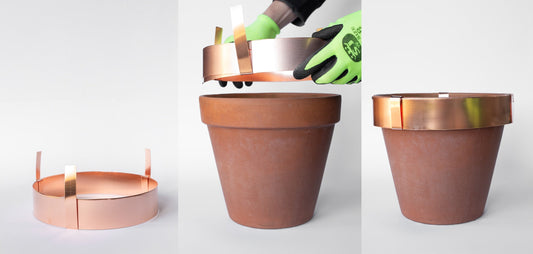 Copper pots rings to deter slugs and snails