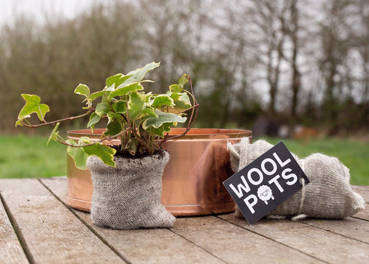 Copper and green Copper Planter and Wool Pots