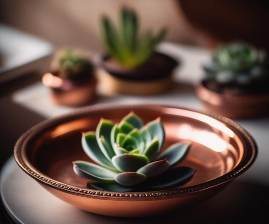 Green Succulent in Copper Bowl