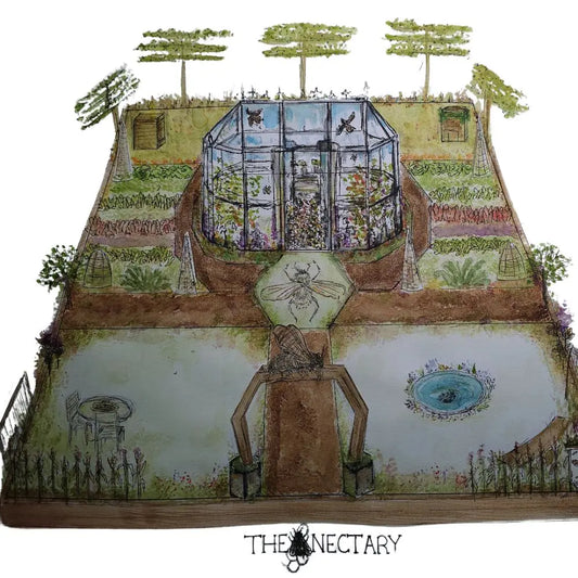 The Nectary - BBC Gardener's World Live Showcase Garden 2025