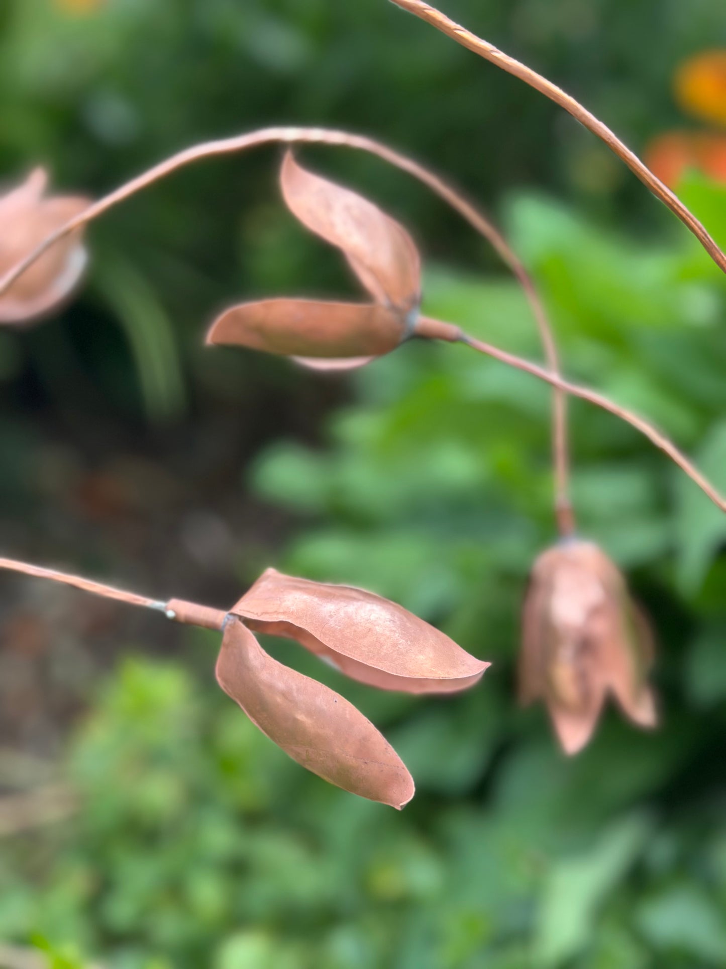 Copper Snow Drops - Pair of stems