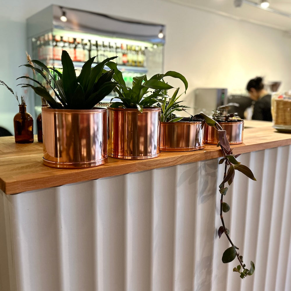 Copper and Green Plant Pots on Counter