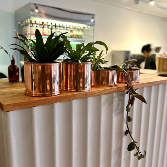 Copper and Green Plant Pots on Counter 17
