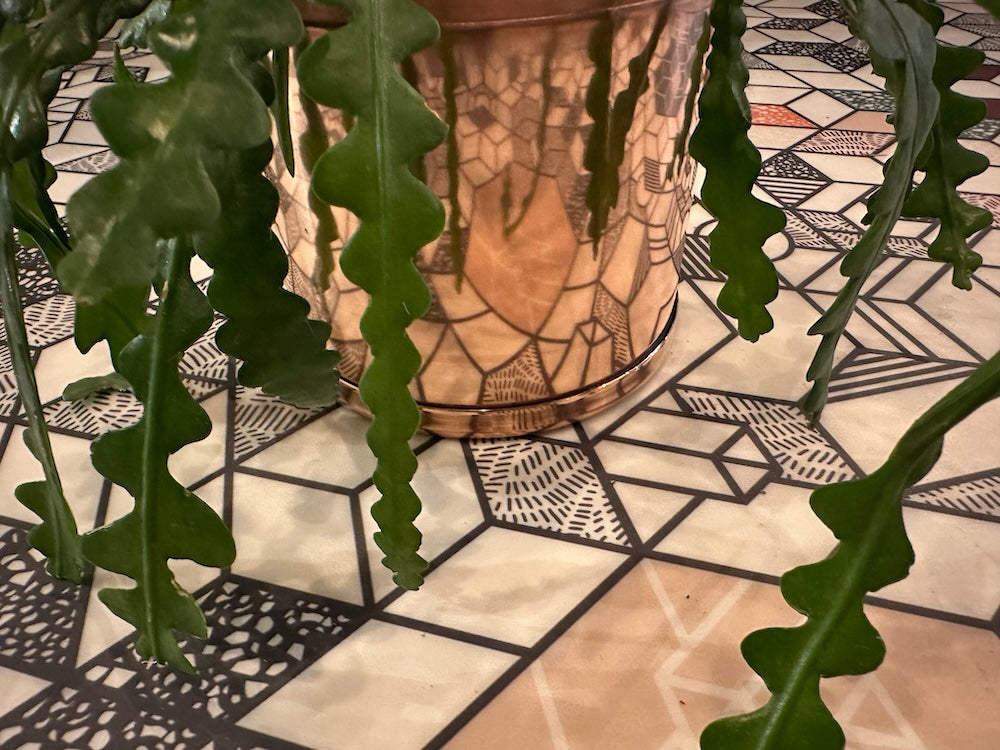 1.5 Litre Copper and Green Pot with Houseplant