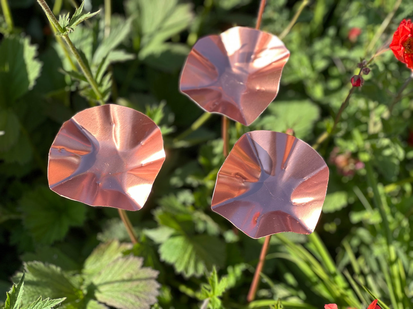 3 x Copper Bee Drinker Bundle