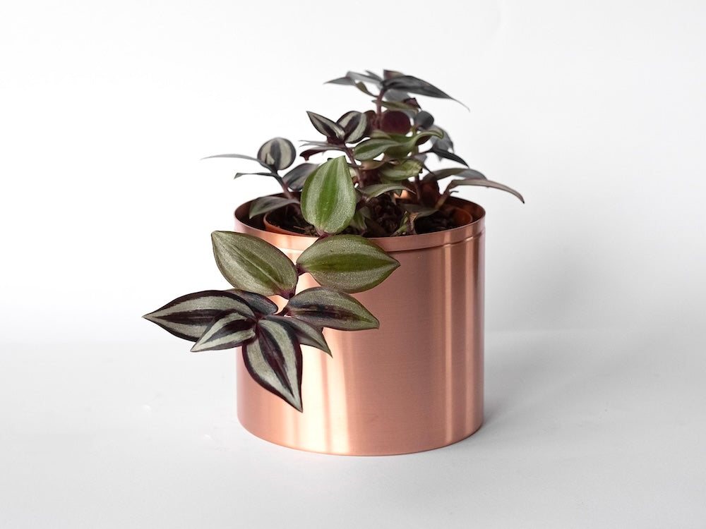 Copper plant pot tradescantia