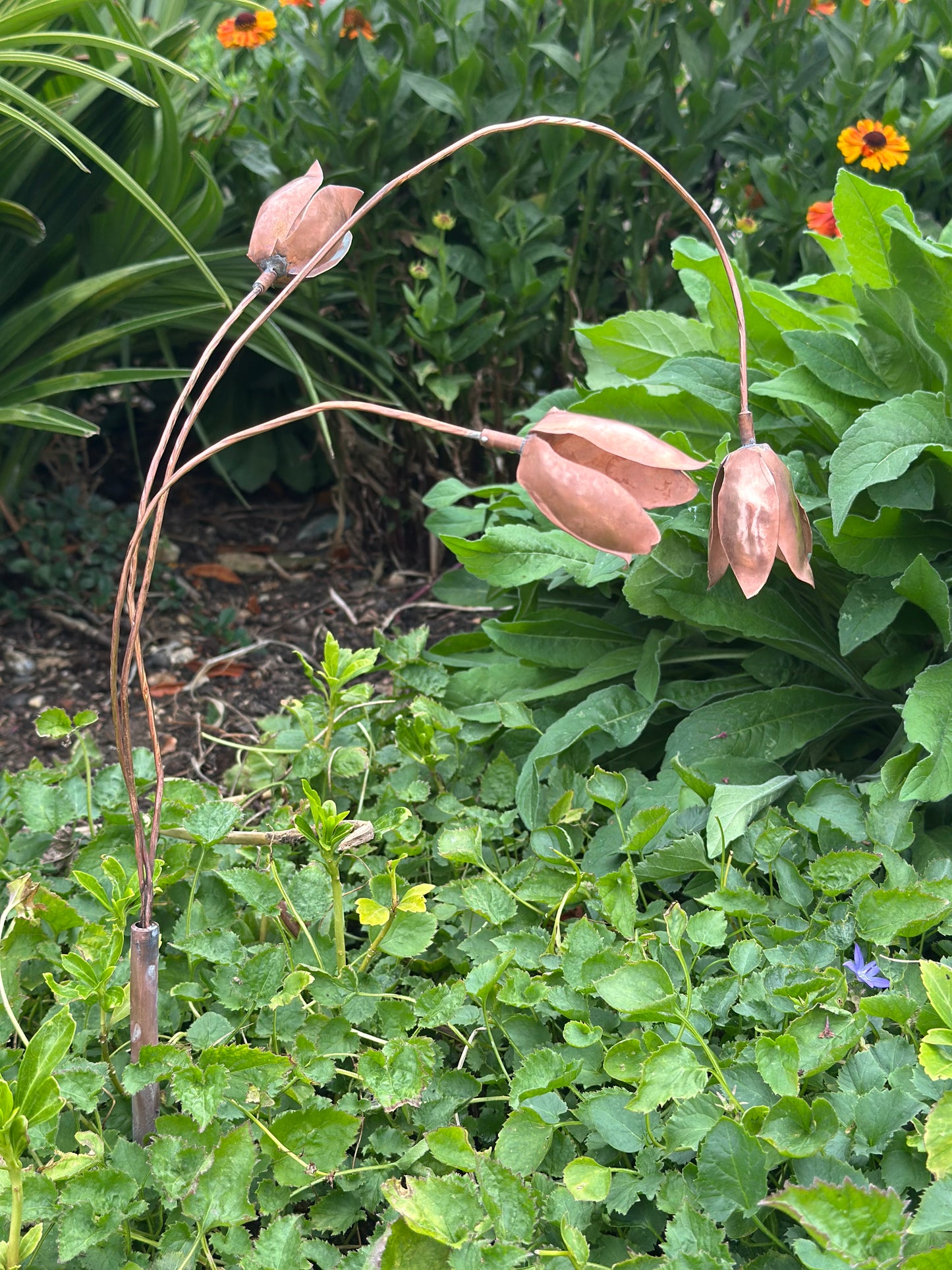 Copper Snow Drops - Pair of stems