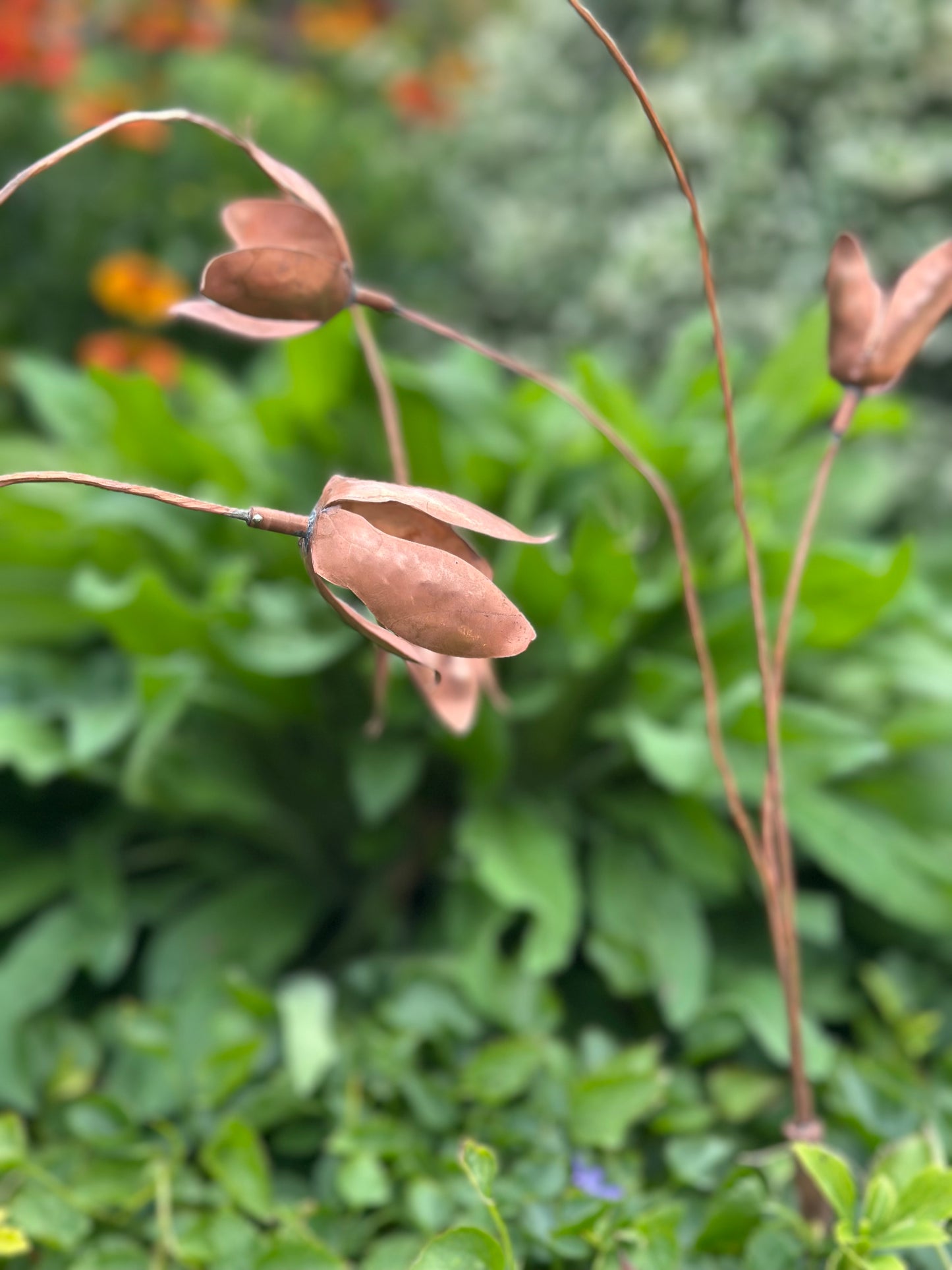 Copper Snow Drops - Pair of stems