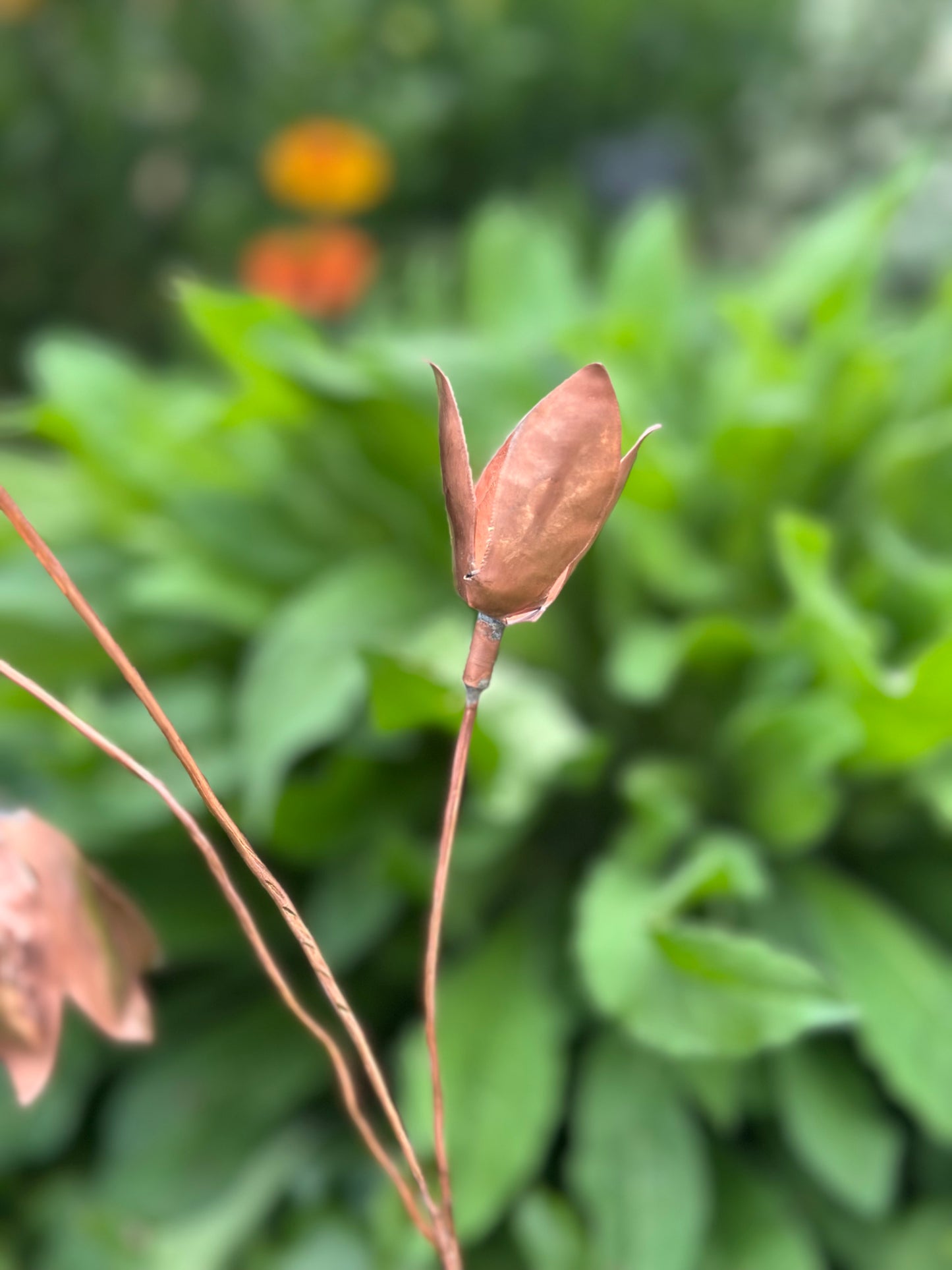 Copper Snow Drops - Pair of stems