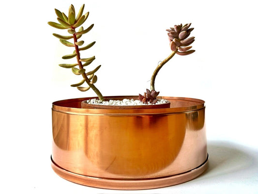 24cm copper planter succulents 20