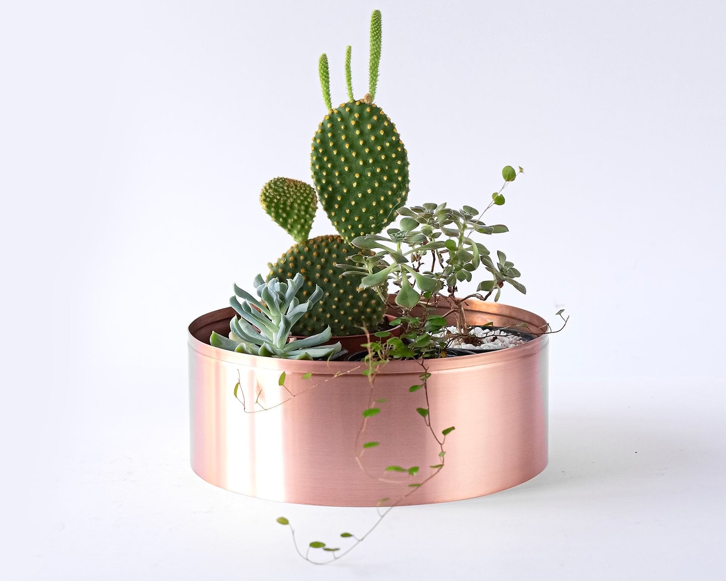 24cm Copper Plant Pot/Planter