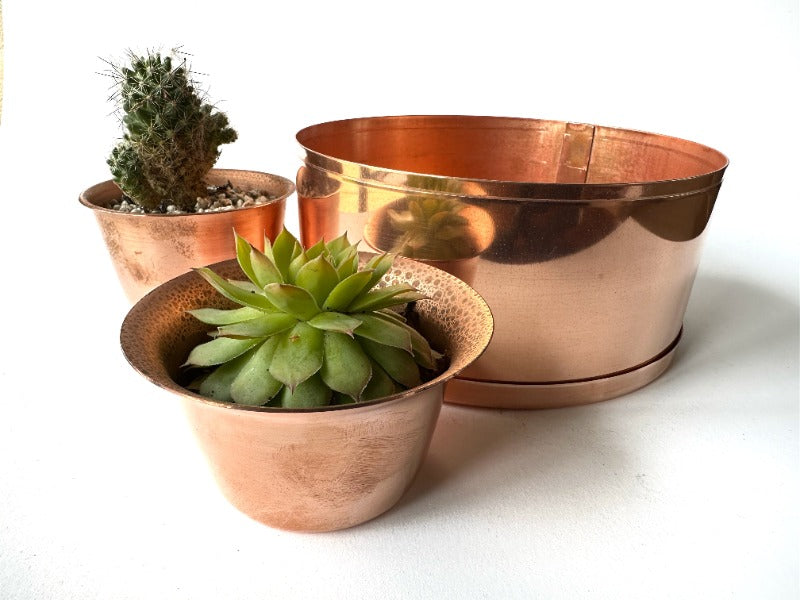 Hand made copper planters and plant pots with cactus and succulent
