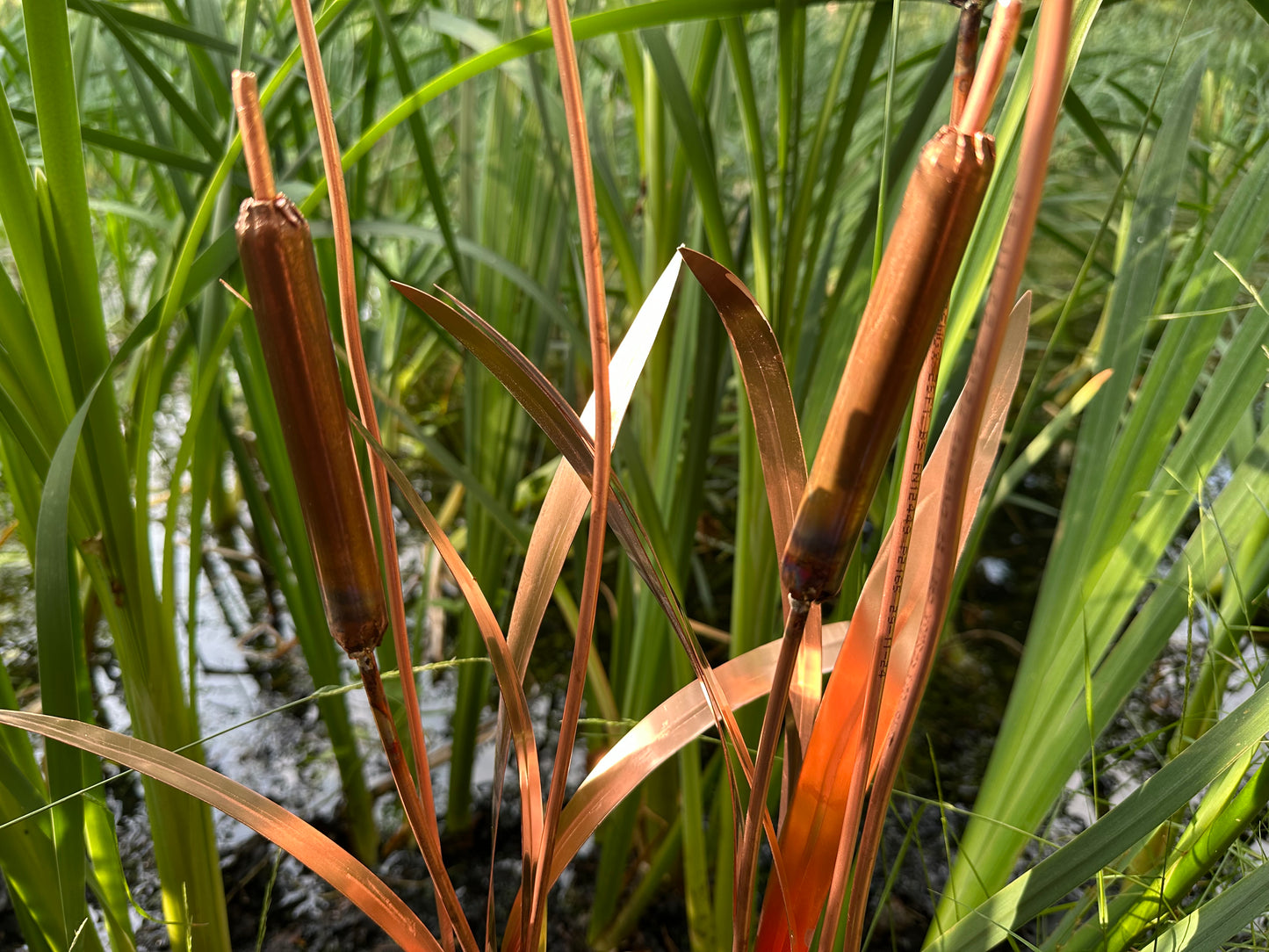 Copper Bulrushes Pair