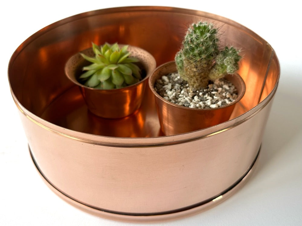 24cm copper planter with cactus