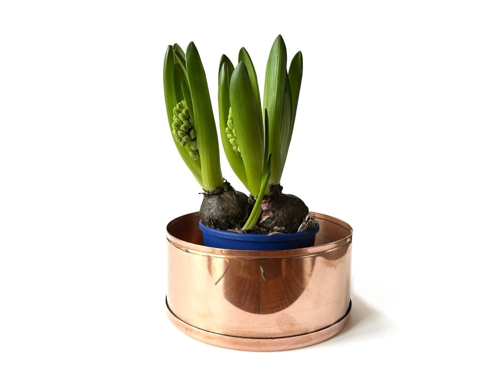 18cm Copper Plant Pot/Planter