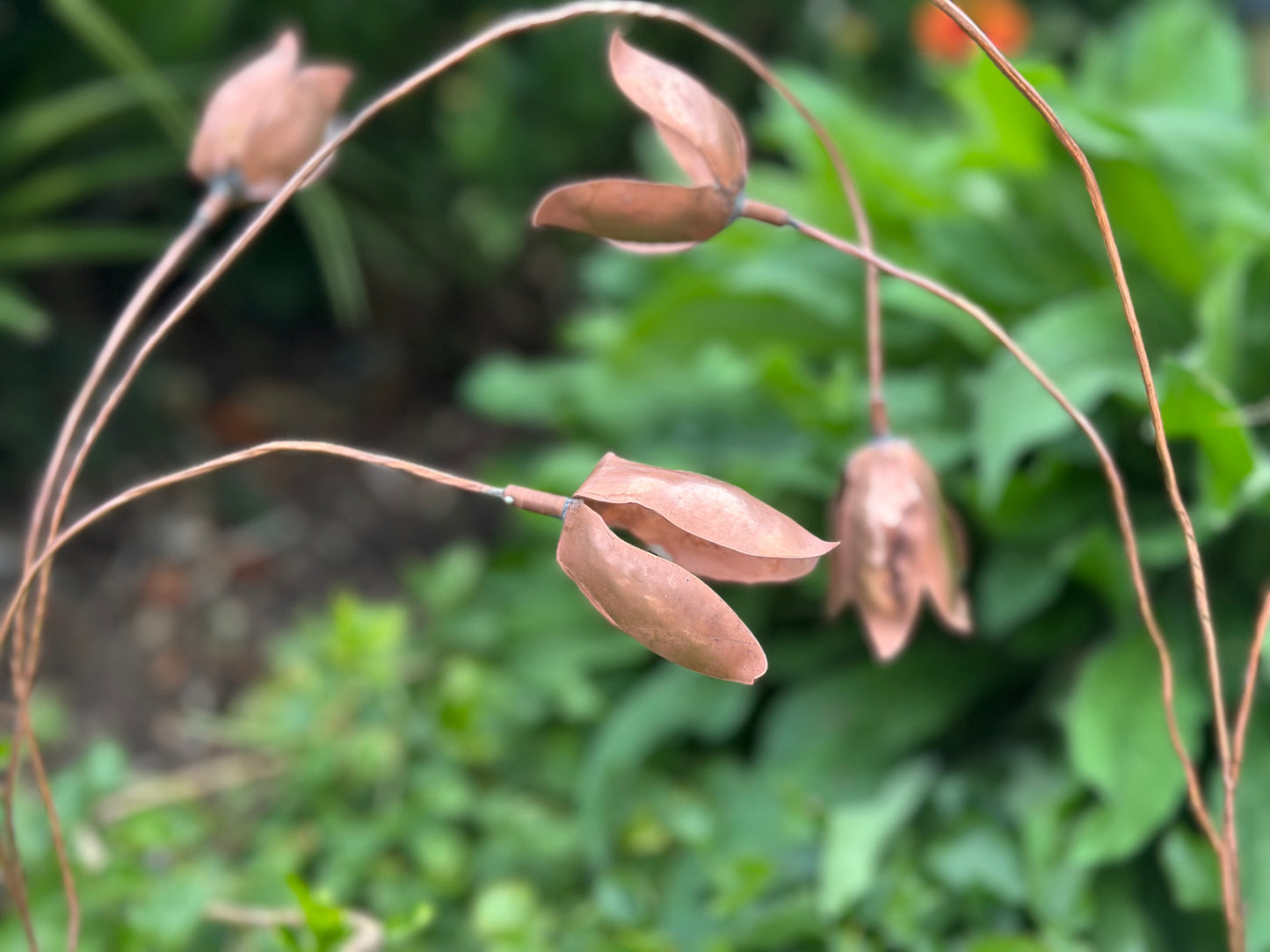 Copper Snow Drops - Pair of stems