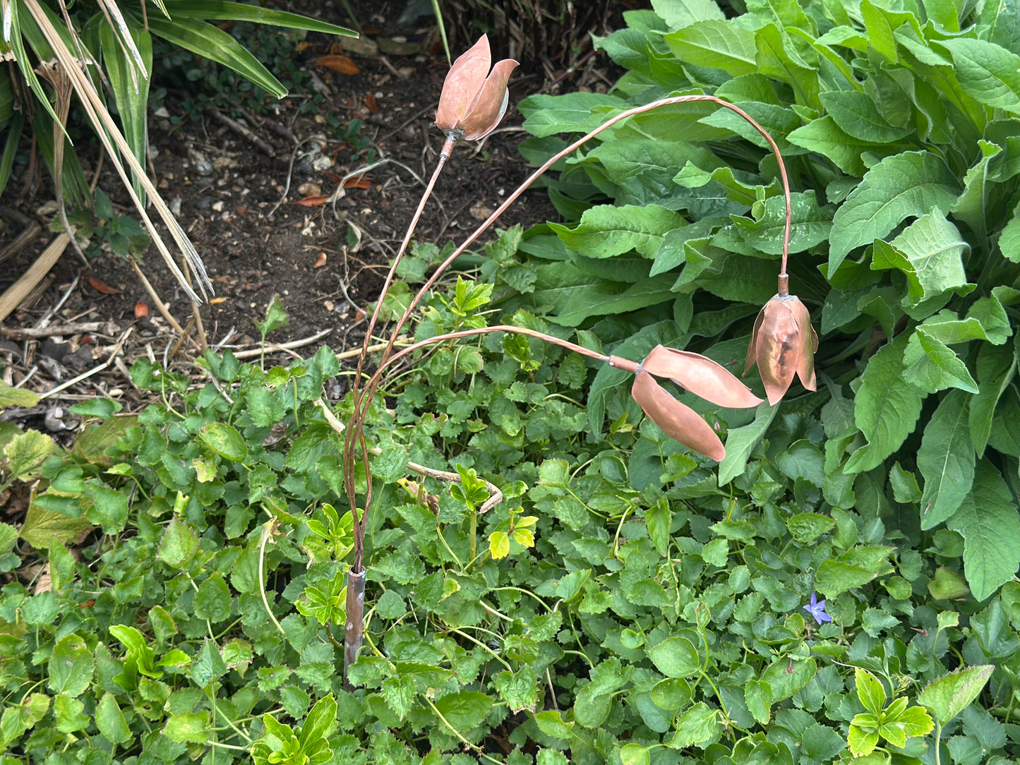 Copper Snow Drops - Pair of stems