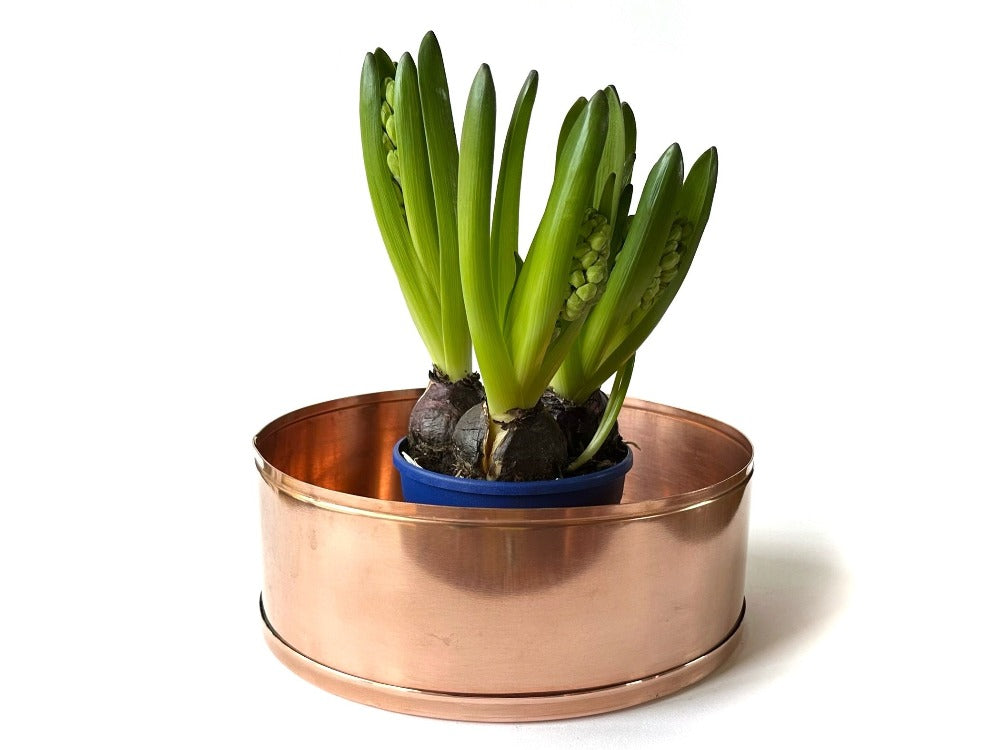 copper planter with hyacinth 