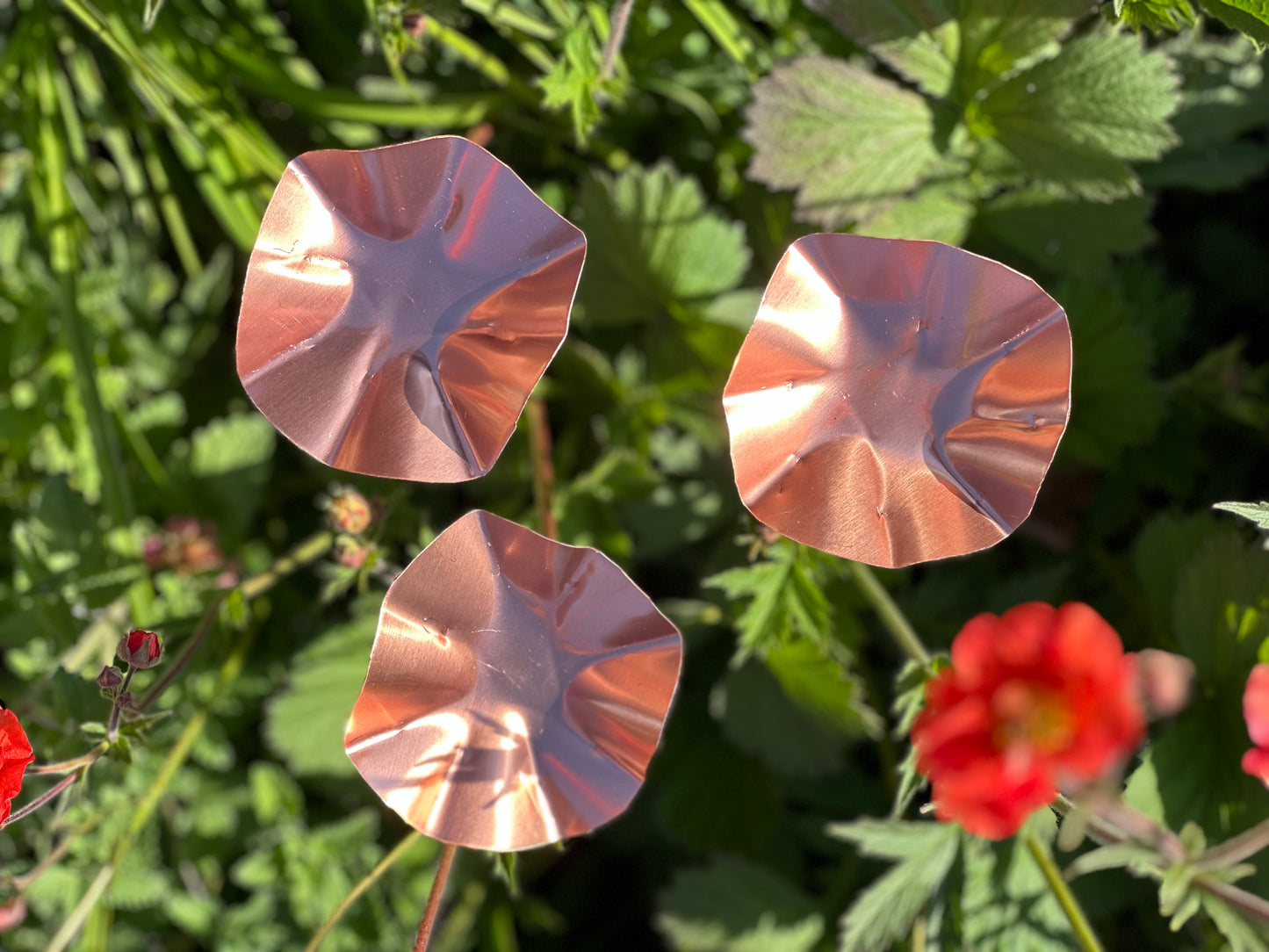 3 x Copper Bee Drinker Bundle
