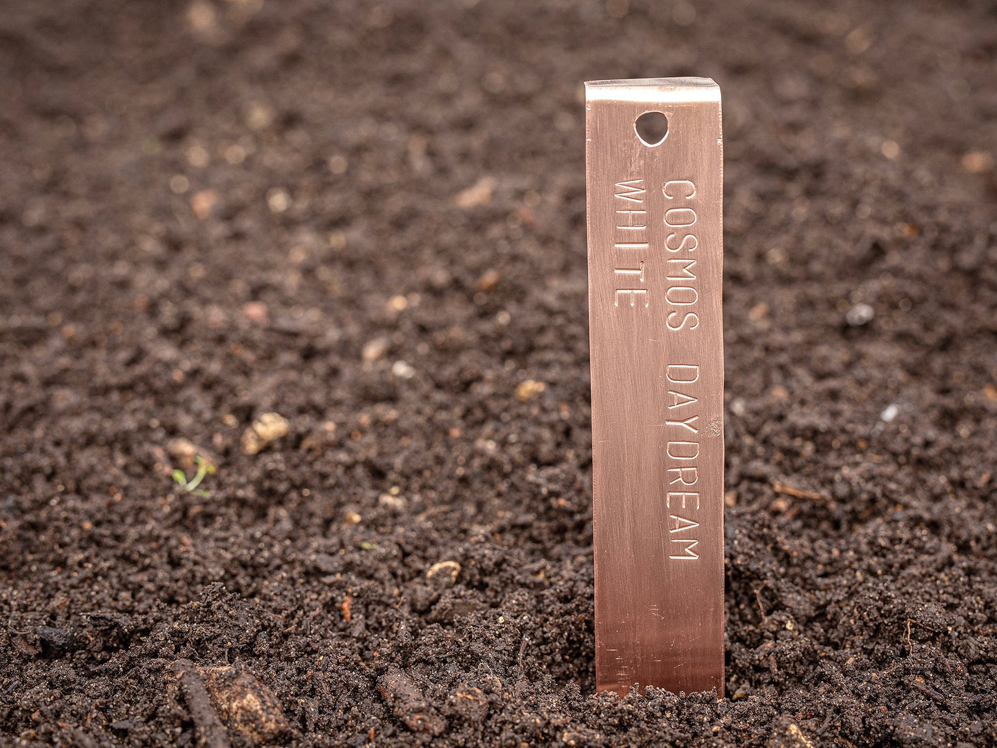 Copper Plant Label in Compost