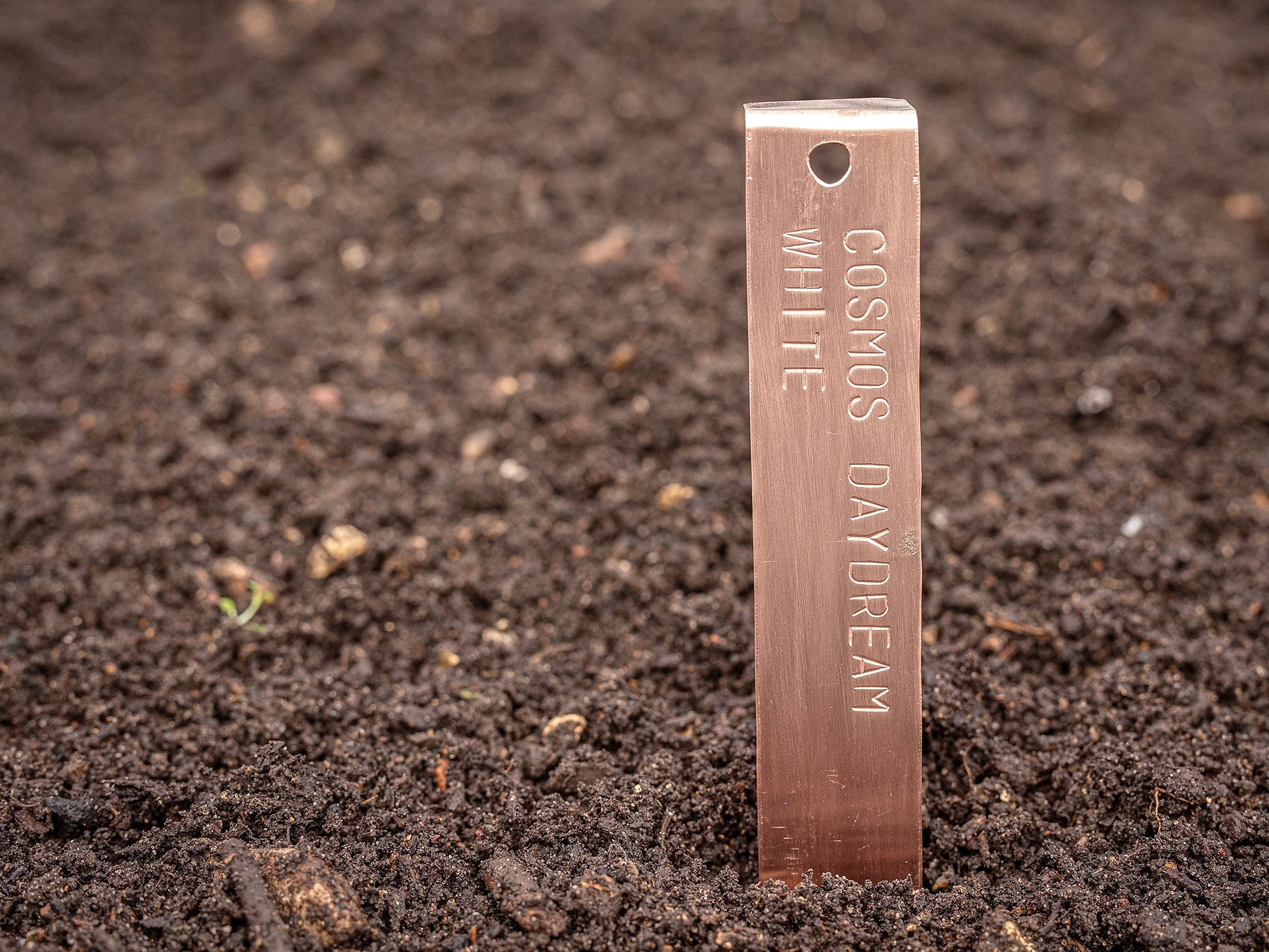 Copper Plant Label in Compost