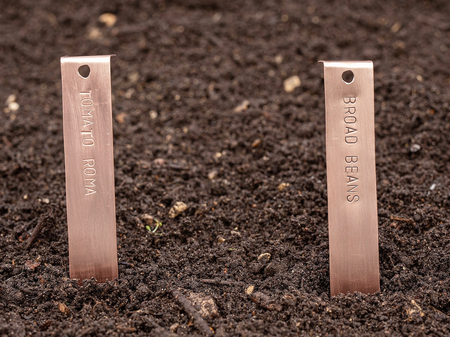 Copper Plant Labels in Soil