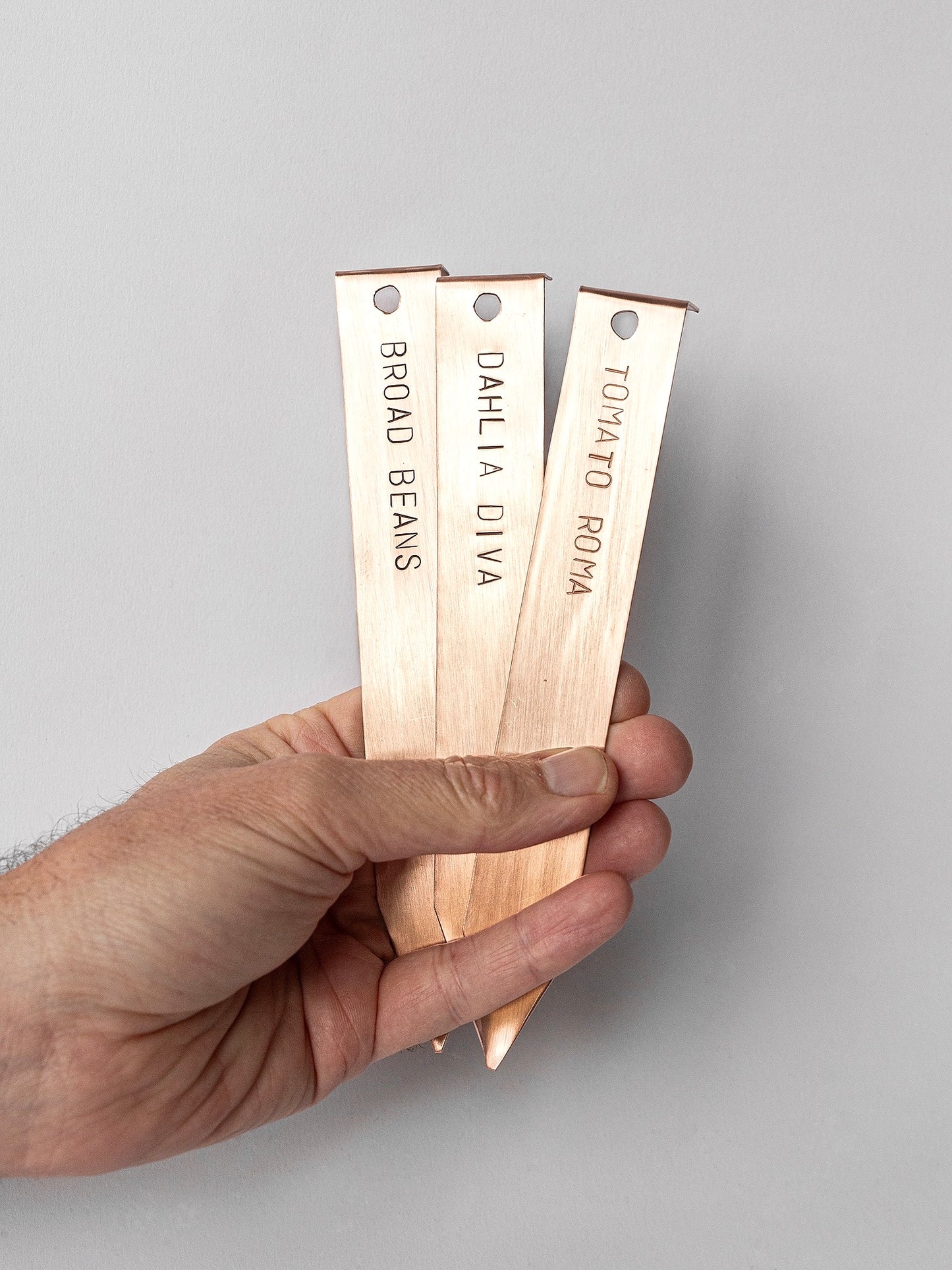 3 Copper Plant Labels in Hand