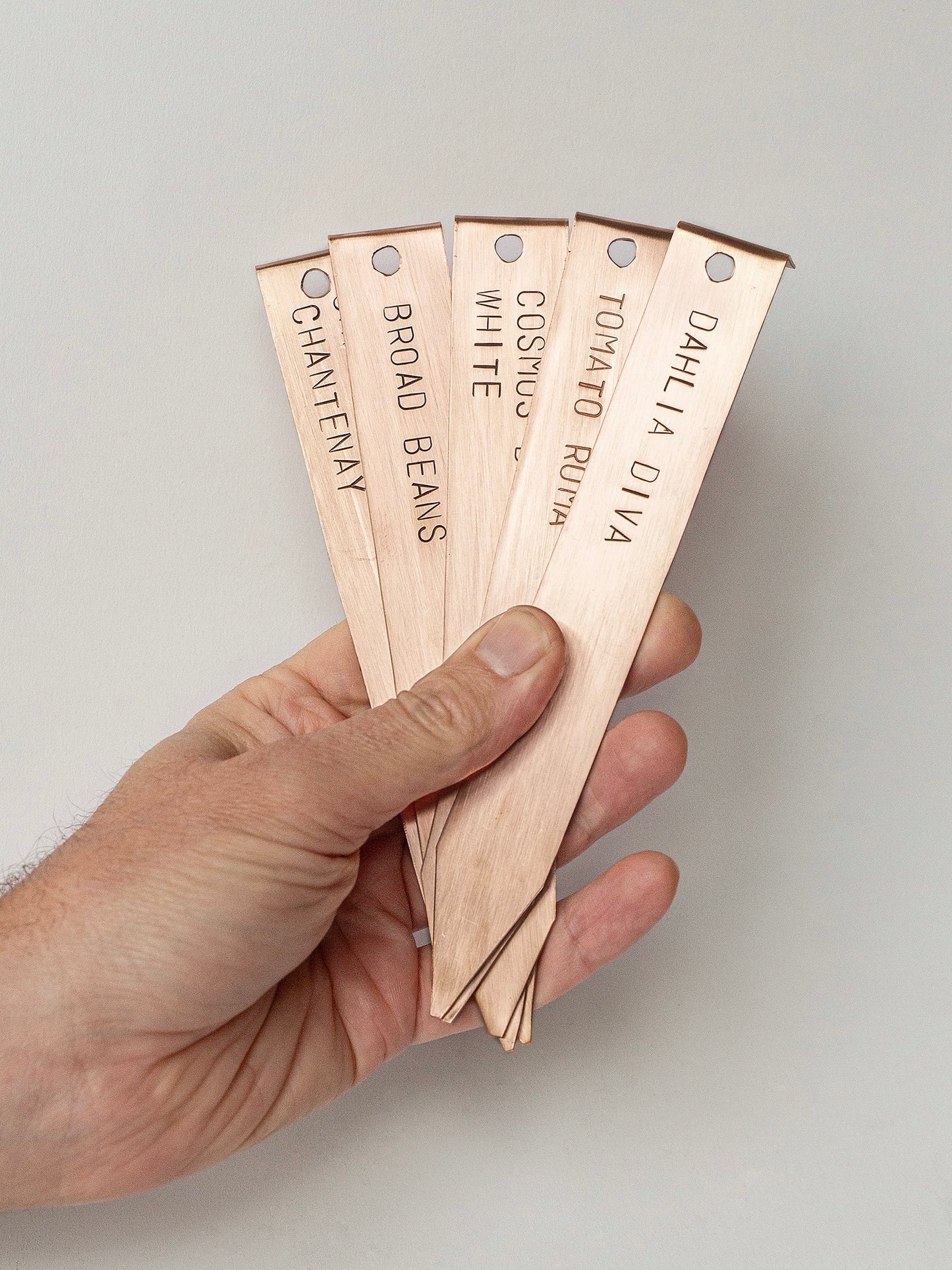 5 Copper Plant Labels in Hand with custom text