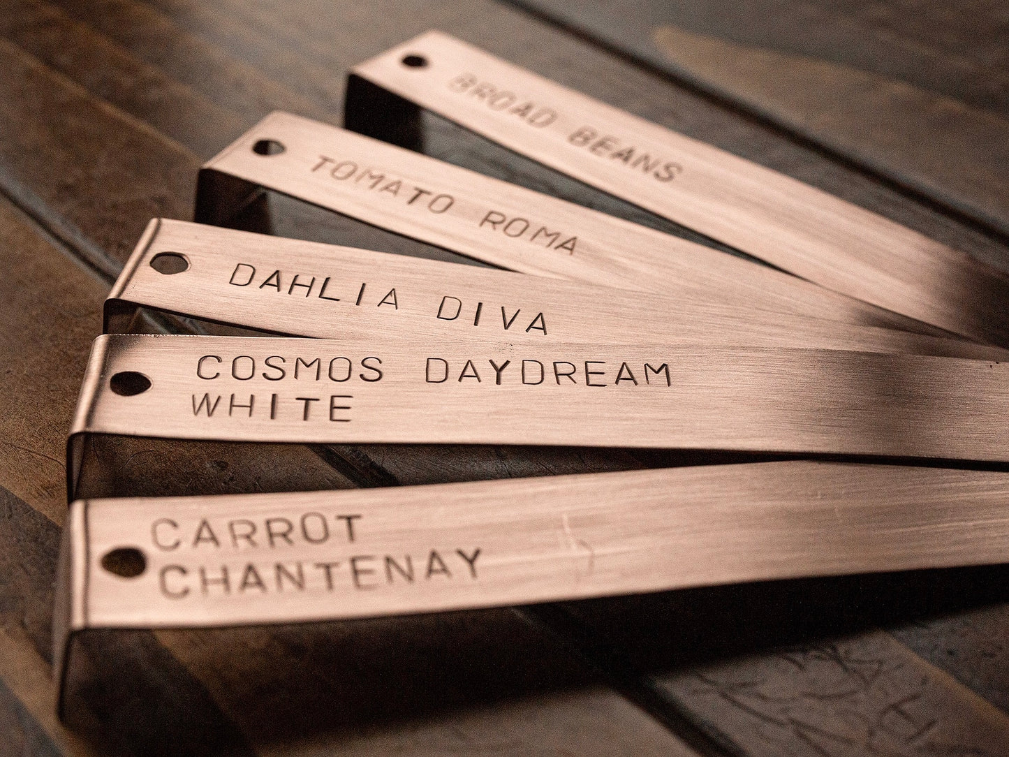 5 Copper Plant Labels