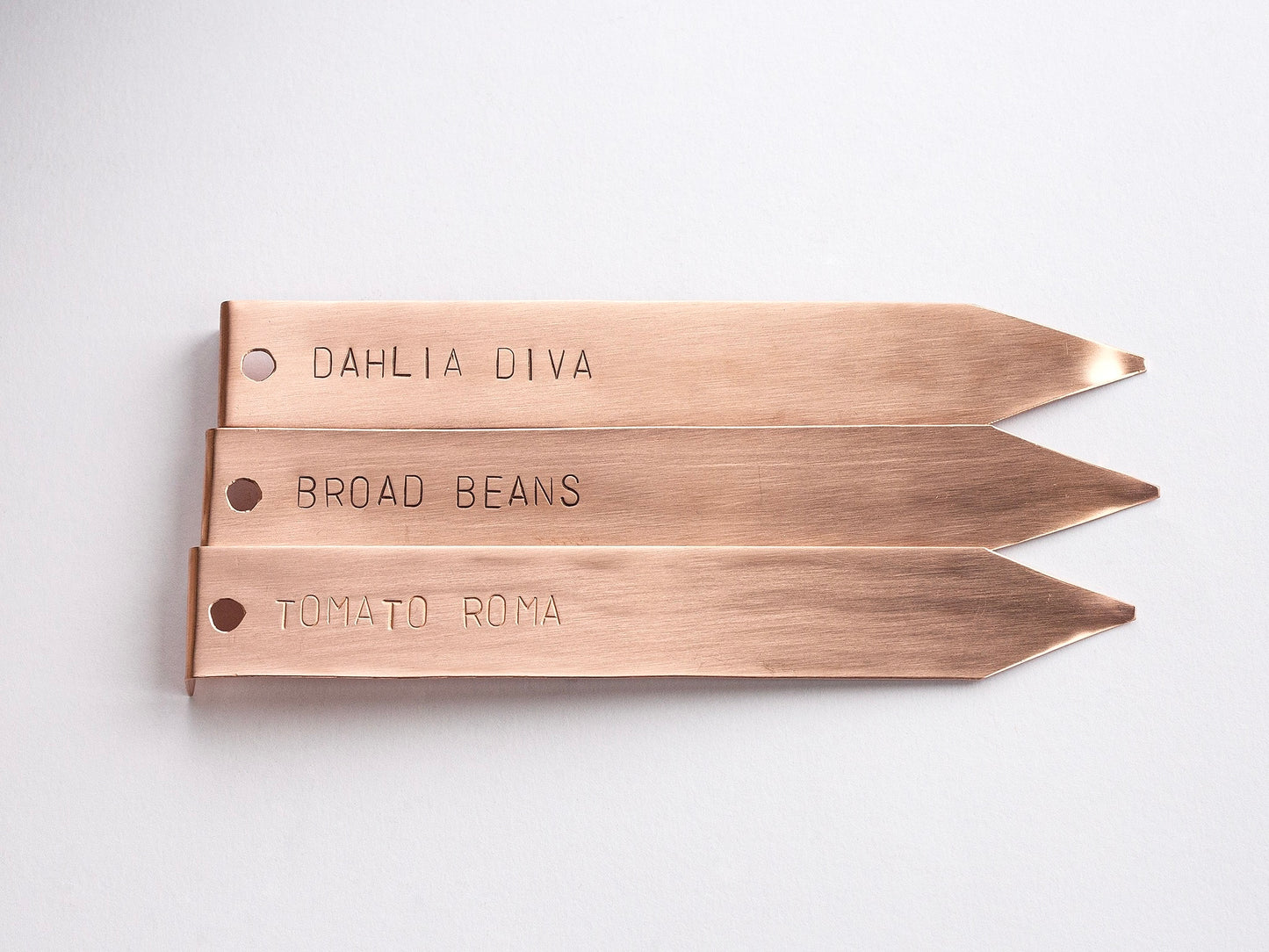 3 Copper Plant Labels