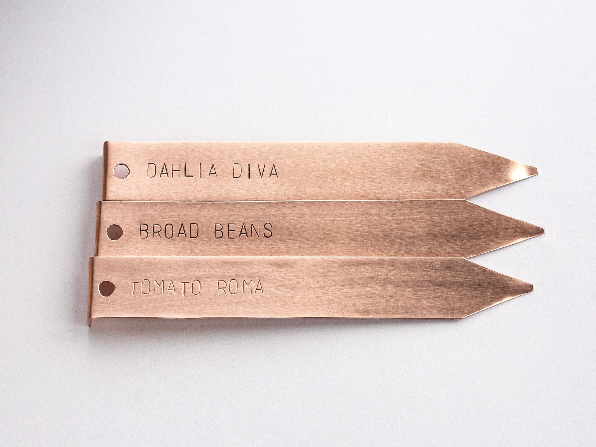 3 Copper Plant Labels
