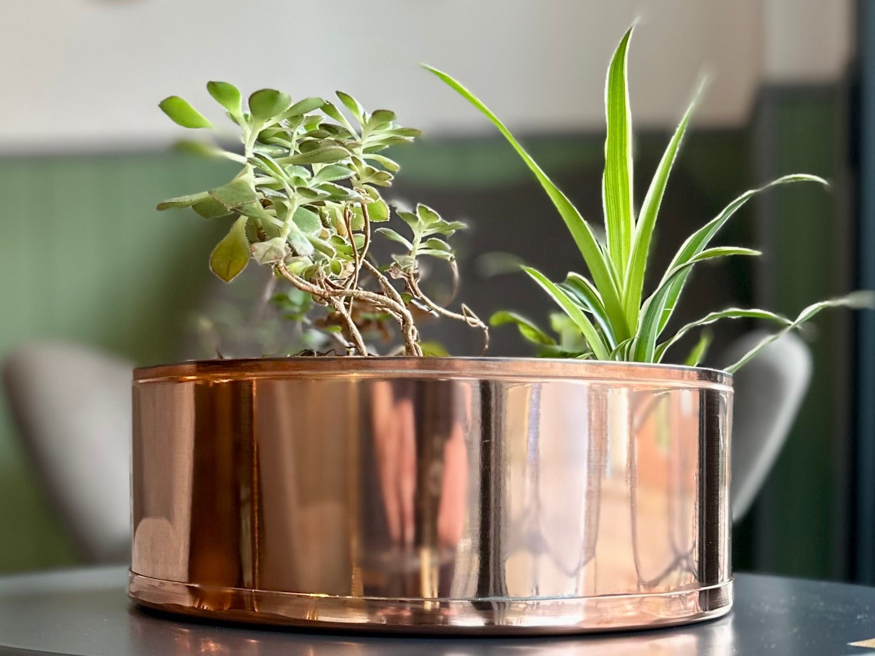 Copper and Green Plant Pot with Spider Plant