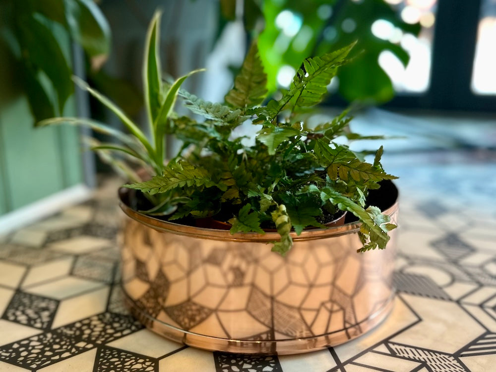 Copper and Green Plant Pot on Floor