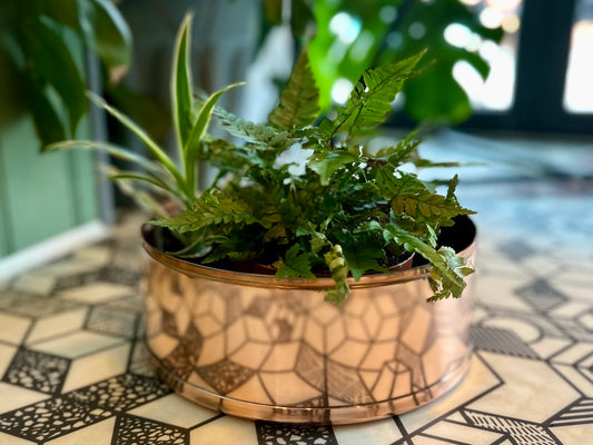 Copper and Green Plant Pot on Floor 4