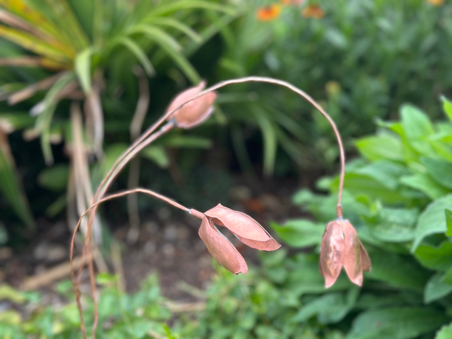 Copper Snow Drops - Pair of stems