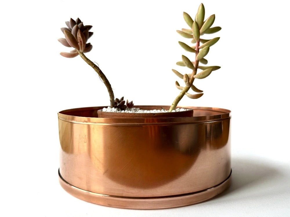 24 copper planter with succulents