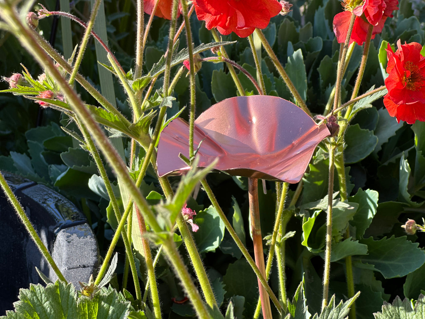 Copper Bee Drinker