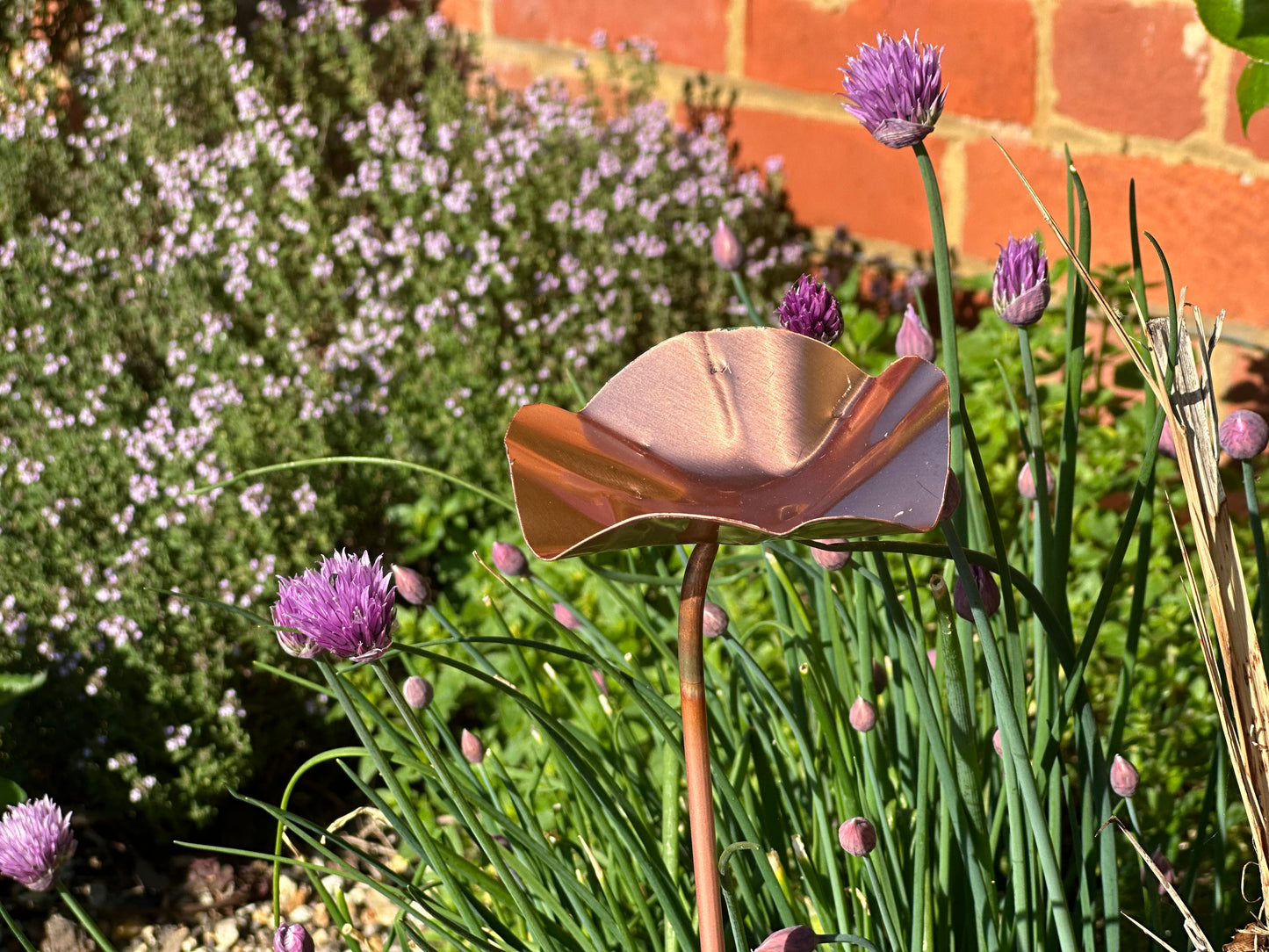 Copper Bee Drinker
