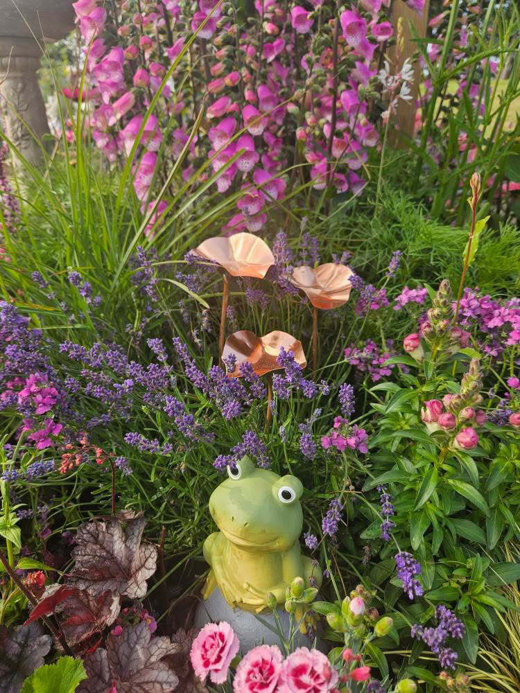 12 x Copper Bee Drinker Bundle