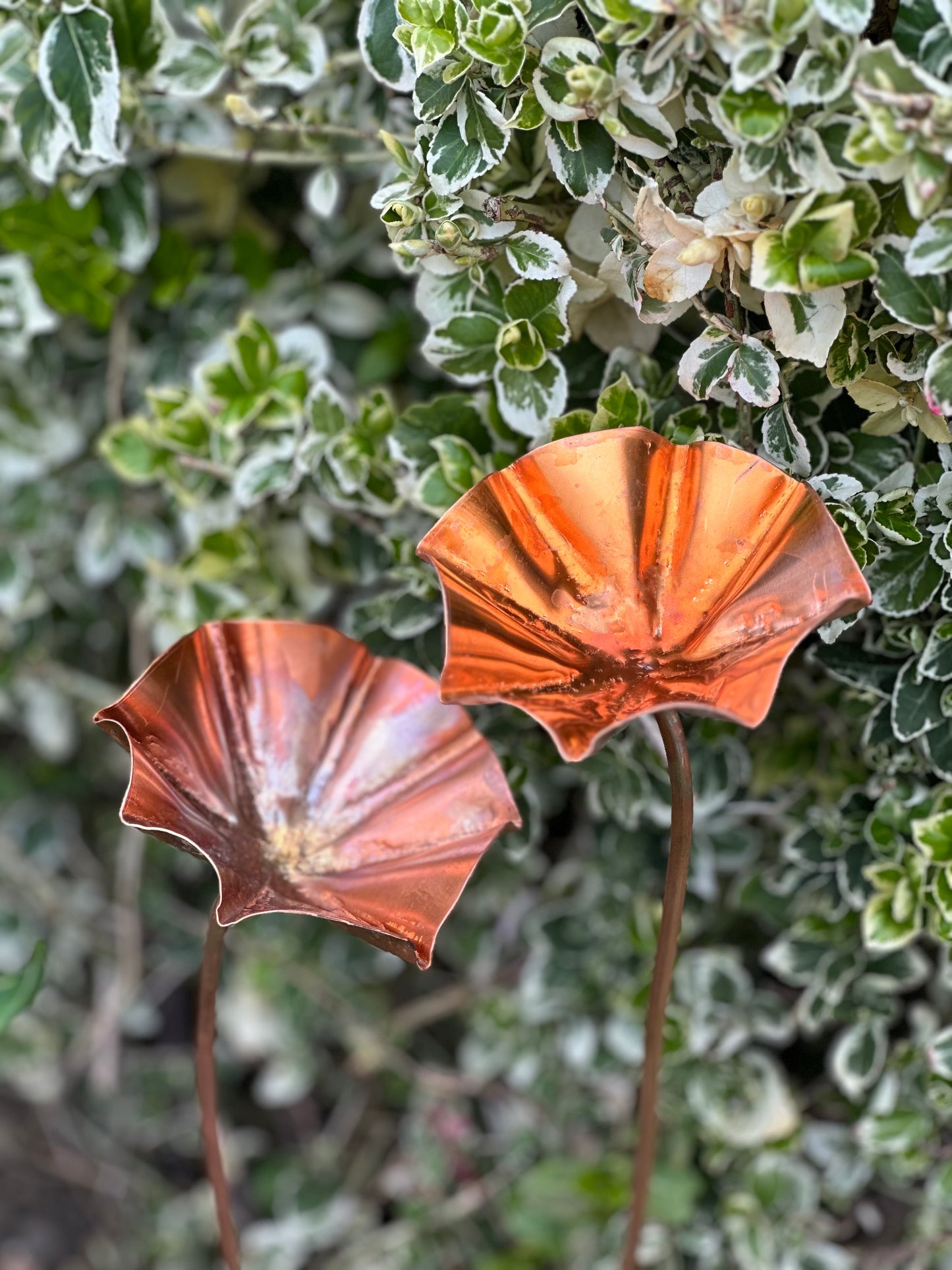 Copper Bee Drinker