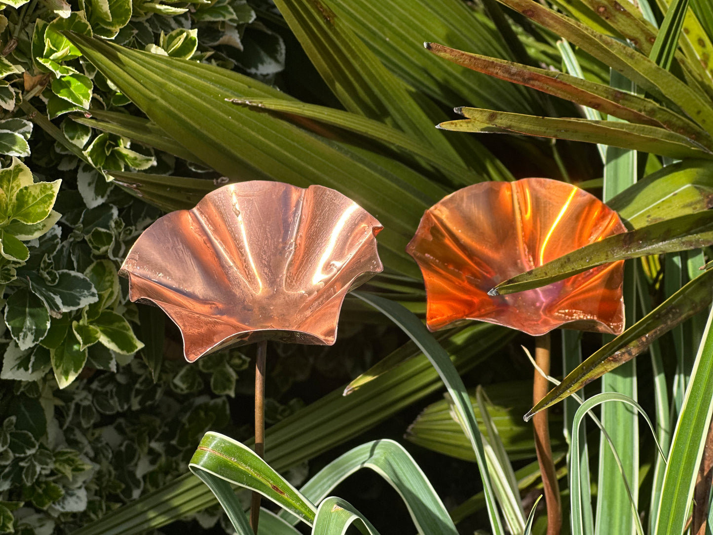 Copper Bee Drinker