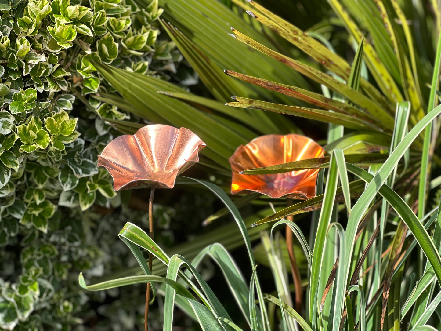 Copper Bee Drinker