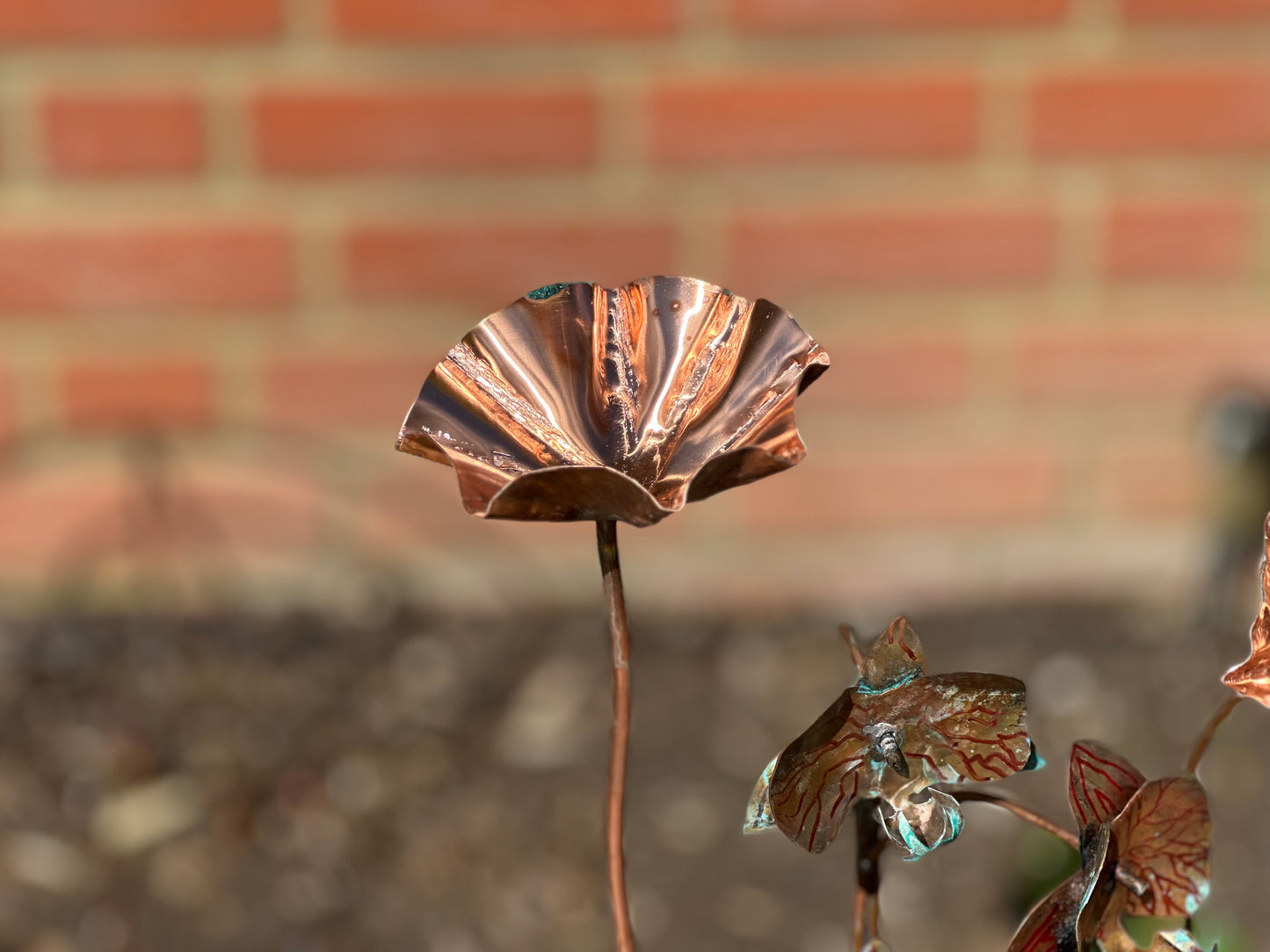 Copper Bee Drinker