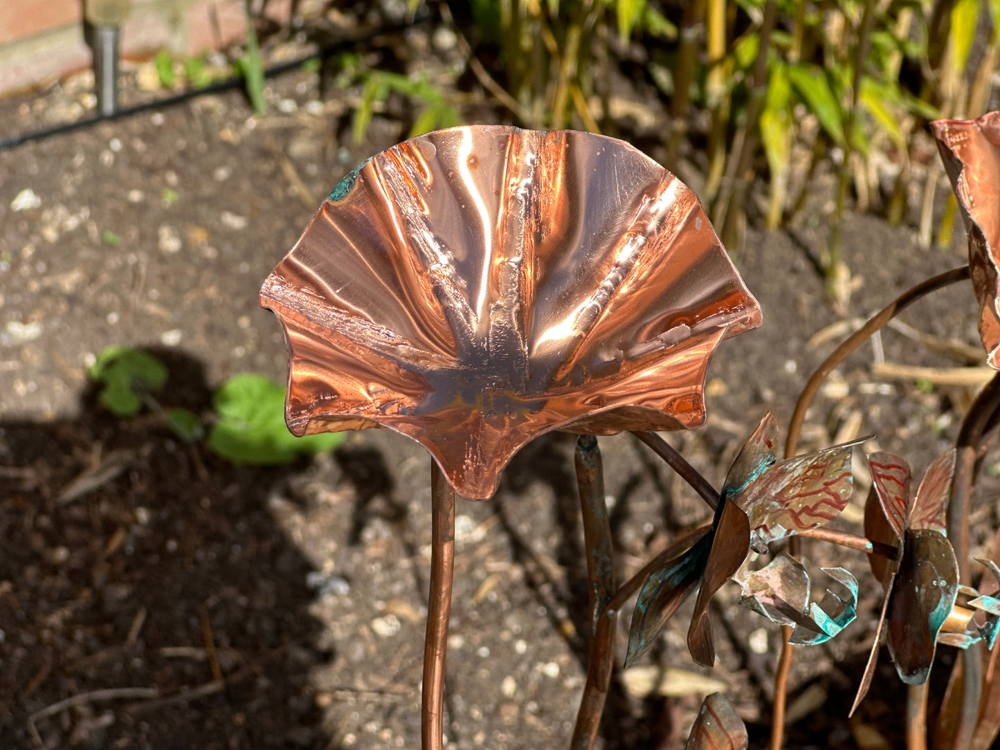 Copper Bee Drinker