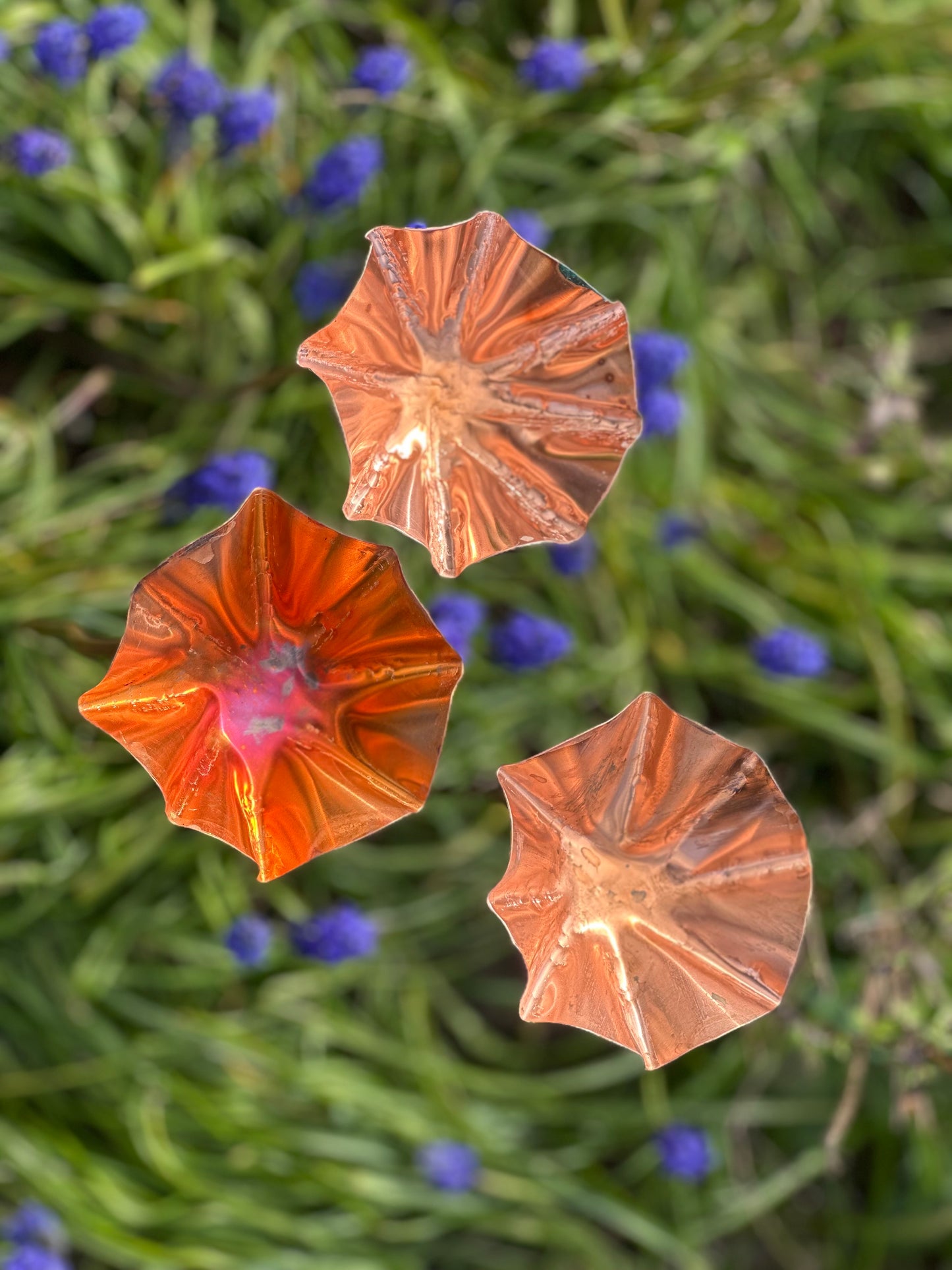 5 x Copper Bee Drinker Bundle