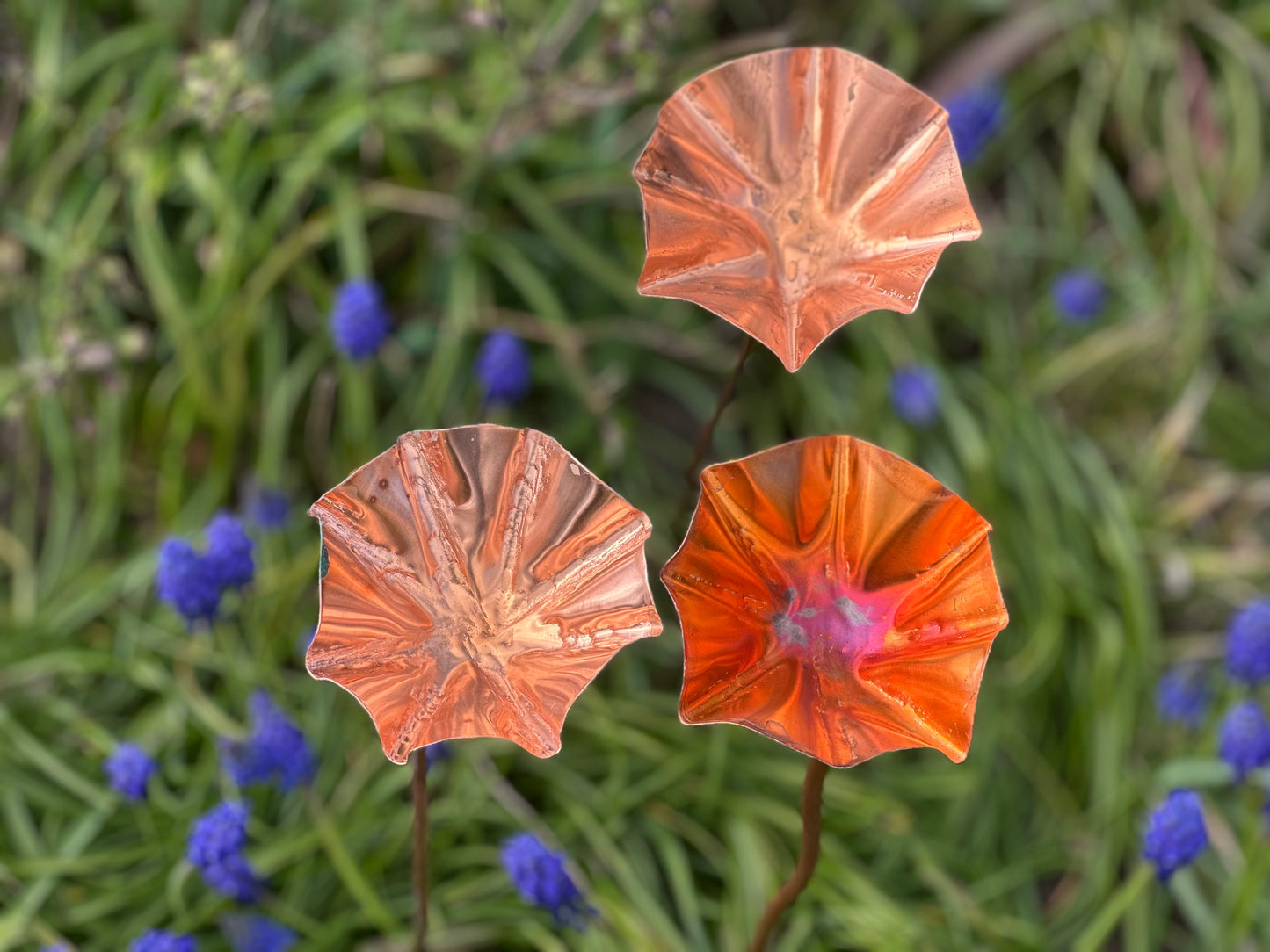 5 x Copper Bee Drinker Bundle