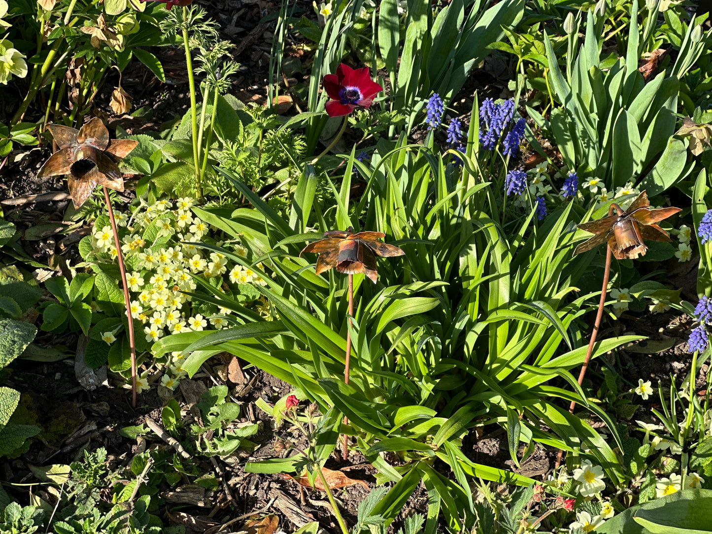 Hand Made Copper Daffodil