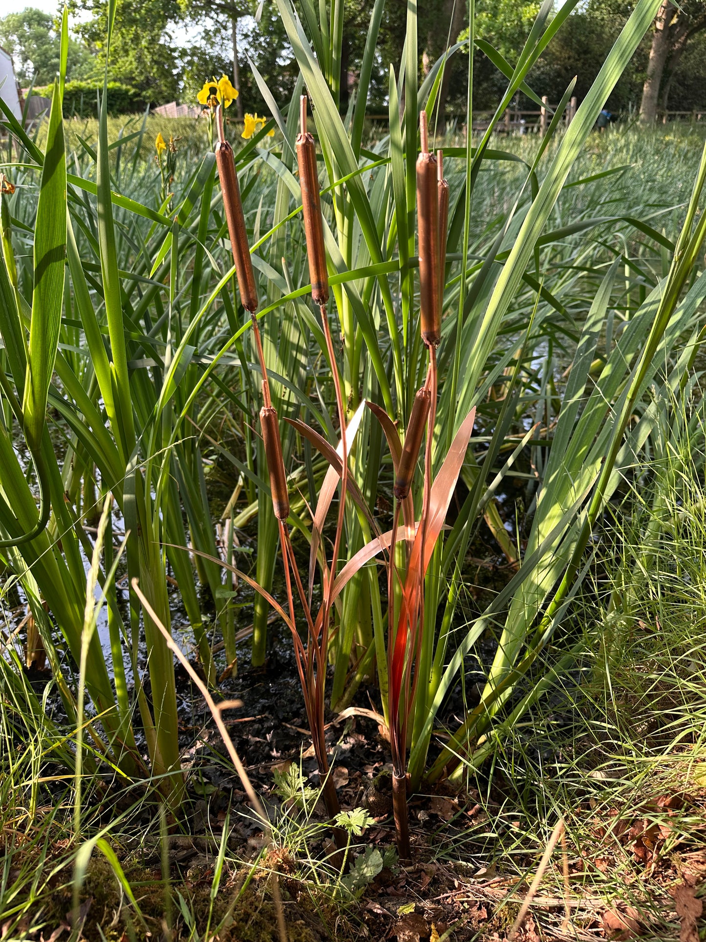 Copper Bulrushes Pair