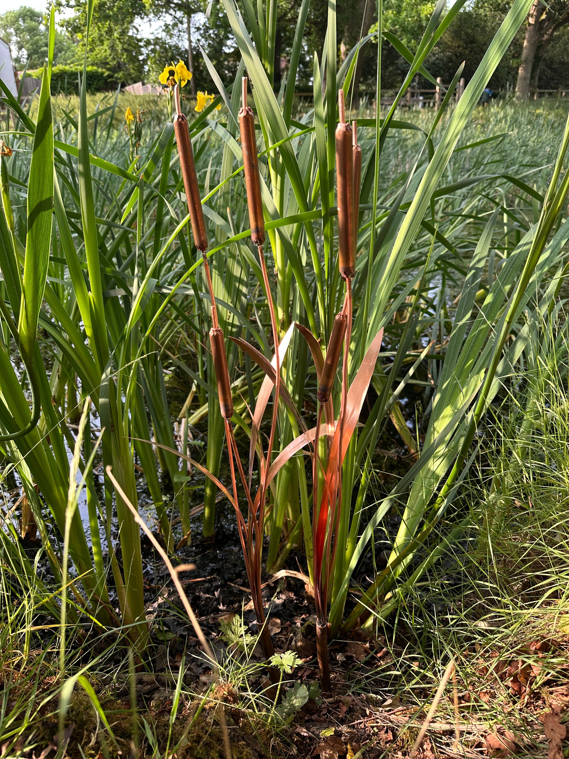 Copper bulrushes