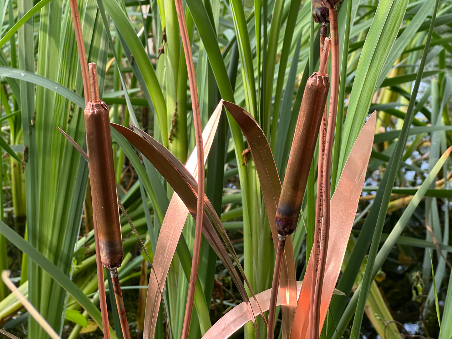 Copper Bulrushes Pair